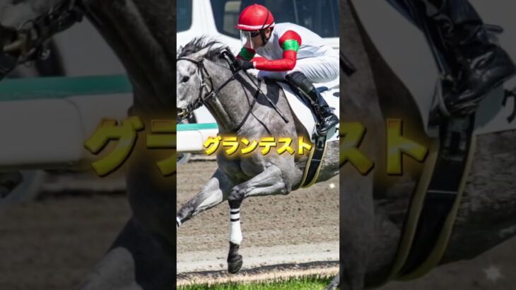 G3CBC賞の穴馬を3頭紹介＃競馬＃競馬予想＃夏競馬＃ワイドラトゥール＃グランテスト＃ドロップオブライト