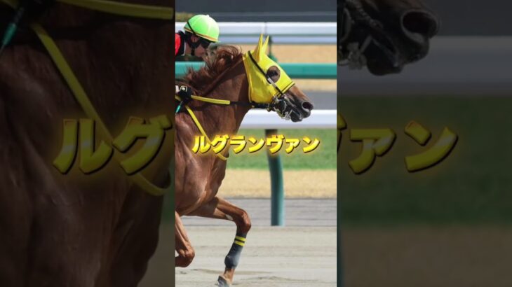 G3レパードSの穴馬を3頭紹介＃競馬＃競馬予想＃夏競馬＃ポールセセン＃ルグランヴァン＃シンビリーブ