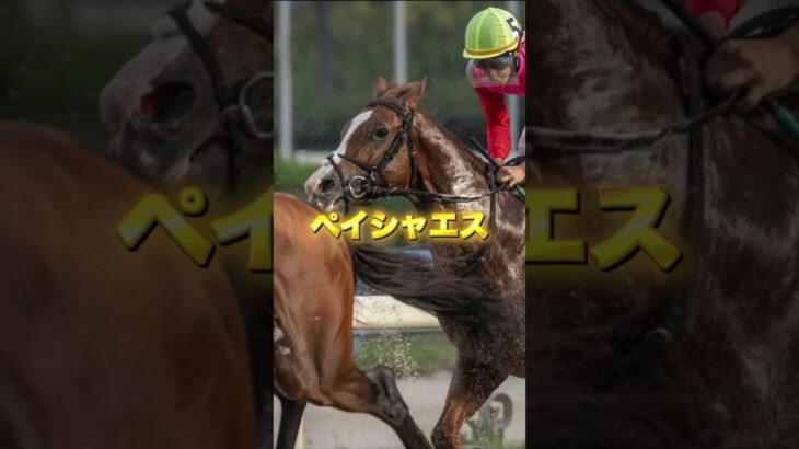 G3エルムSの穴馬を3頭紹介＃競馬＃競馬予想＃夏競馬＃ブライアンセンス＃ペイシャエス＃トロヴァトーレ
