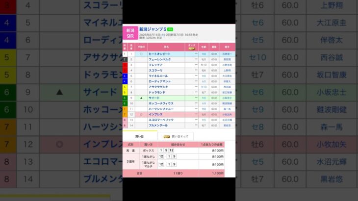 新潟競馬場 メインレース 新潟ジャンプステークス（Jpn3）を予想します #競馬 #予想 #競馬予想 #買い目 #新潟8r #新潟競馬 #新潟競馬場 #jra #新潟ジャンプステークス