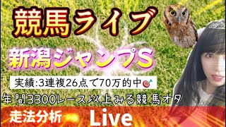 【競馬】全レース競馬予想  新潟ジャンプS 走法分析【競輪】