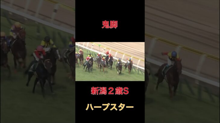 鬼脚ハープスター【新潟２歳S】#競馬#予想#馬券