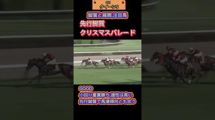 🐴[クイーンS]出走馬の脚質と展開🐴#競馬予想 #競馬 #クイーンステークス2025　#クイーンステークス