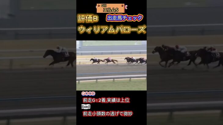 📉[エルムS]出走馬チェック📉#競馬予想 #競馬 #エルムステークス2025　#エルムステークス