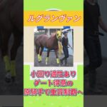 レパードS　2025 注目馬！　　　　　夏競馬絶好調！！ #競馬 　#競馬予想 　　#レパードs 　#大予想