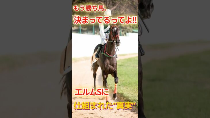 もう勝ち馬、決まってるってよエルムSに仕組まれた真実 #競馬 #札幌競馬 #エルムS #重賞予想 #競馬予想 #無料予想 #競馬好き #馬券 #馬券生活 #競馬情報 #競馬ファン #競馬ニュース