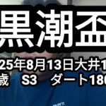 【地方競馬予想】黒潮盃 S3（2025年8月13日大井11R 3歳）予想