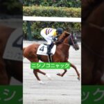 宣伝部員のアイビスSDの注目馬#競馬#競馬予想#アイビスサマーダッシュ