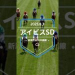 【アイビスSD 2025】上位5頭予想！新潟名物、直線競馬のアイビスサマーダッシュの開催です。コラソンビート、モズメイメイ、ピューロマジックらが出走。