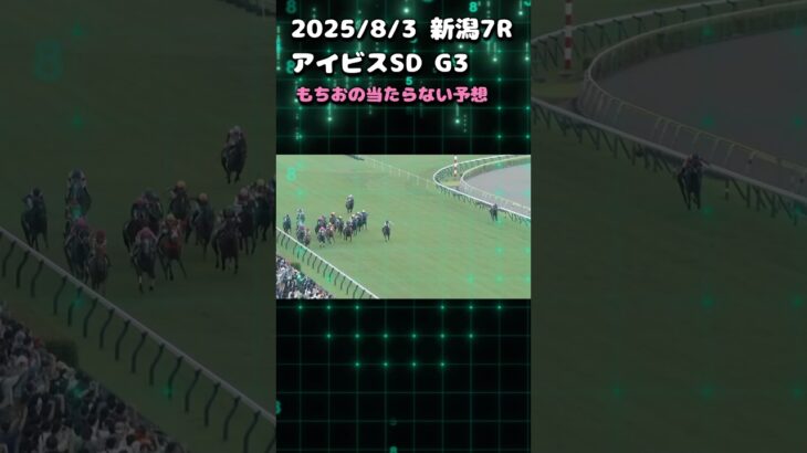 アイビスSD2025 現地観戦した結果　#競馬 #競馬予想 #アイビスSD