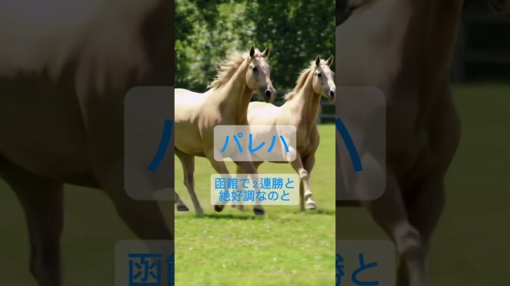 【クイーンS】連続的中してるから調子に乗って予想動画【試し】/VOICEVOX:猫使ビィ