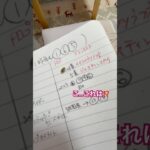 インコさんの競馬予想はこうします！ #お喋りインコ動画 #セキセイインコ #インコおもしろ #競馬予想#cbc賞