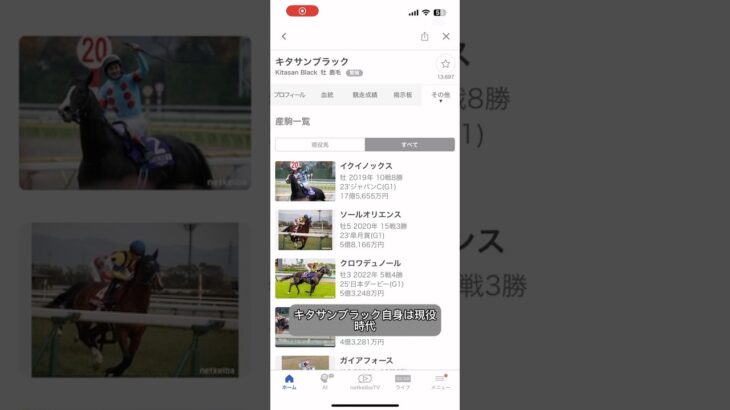 キタサンブラック物語#馬 #horse #競馬予想 #競馬 #豆知識 #キタサンブラック