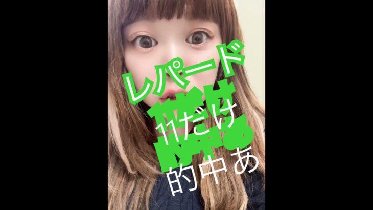 #競馬ファン #活動者 #中央競馬予想 #メチャクチャ良く当たると穴党に人気の競馬予想家 #競馬予想家 #一口馬主 #中央競馬協会 #レパードs ウマ連