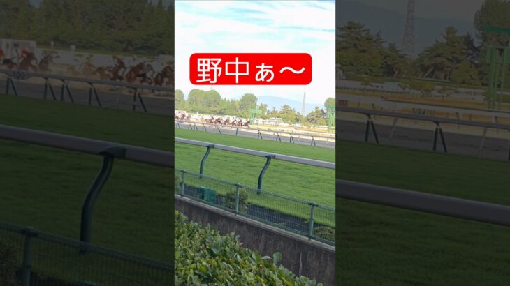 全て野中押しニキに消された自分… #shorts #競馬 #競馬場 #競馬予想 #馬券勝負 #馬券 #騎手 #三連単