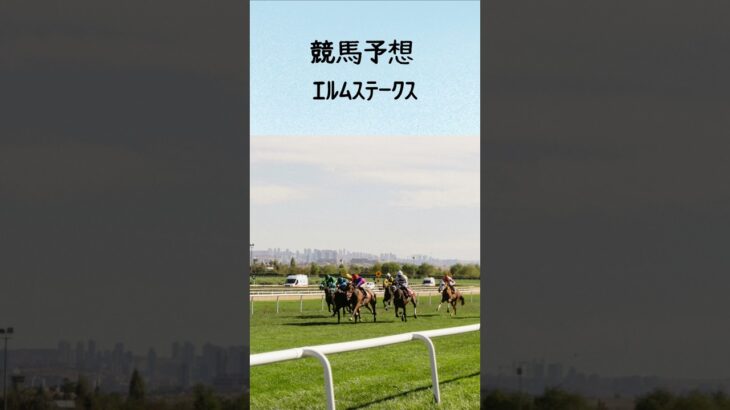 競馬予想 エルムステークス #競馬 #競馬予想 #shorts