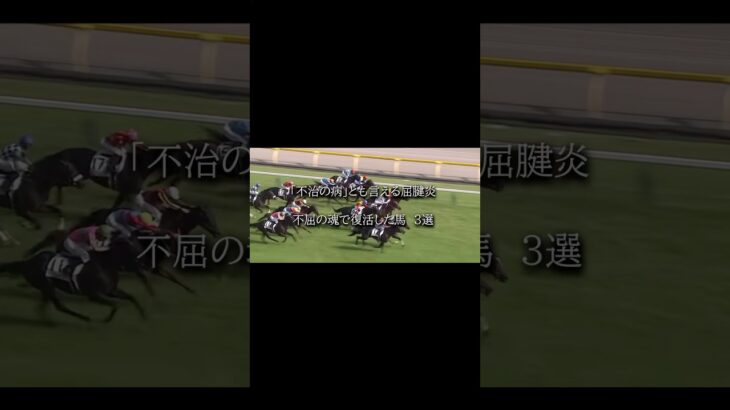 見事な不屈の闘争心！ #競馬 #武豊 #競馬予想 #ウマ娘 #shorts