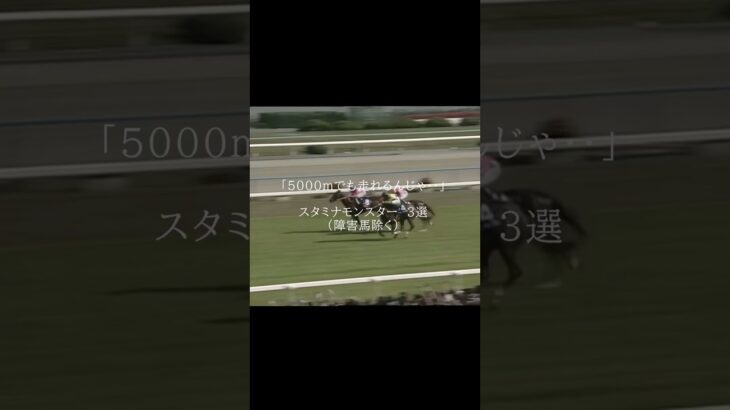 あなたの思うスタミナモンスターは？ #競馬 #武豊 #競馬予想 #ウマ娘 #shorts