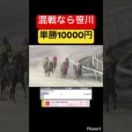 【混戦】混戦オッズの時は頼もしい鞍上を買えば間違い無いです　#競馬 #競馬予想