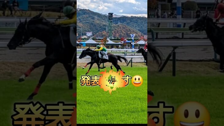注意馬🐴 #競馬 #馬券 #競馬予想 #競馬好きな人と繋がりたい #競馬シュミレーション
