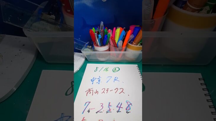 高山ステ－クス、一郎雄さん、絶対当たらない競馬予想ですね、よい－🙏🙏🙏🙏