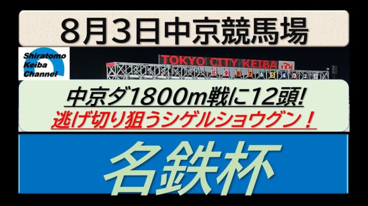 【競馬予想】名鉄杯～２０２５年８月３日 中京競馬場 ：８－７