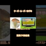 ウーパールーパーちぴの競馬予想結果#ウーパールーパー #競馬予想 #ペット動画 #競馬