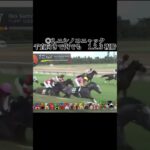 アイビスサマーダッシュの結果です、これが新潟だ #競馬 #競馬予想 #競馬結果 #中央競馬 #中央競馬予想 #新潟競馬 #新潟競馬予想 #新潟競馬場 #アイビスサマーダッシュ