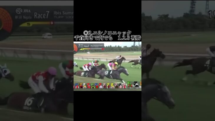 アイビスサマーダッシュの結果です、これが新潟だ #競馬 #競馬予想 #競馬結果 #中央競馬 #中央競馬予想 #新潟競馬 #新潟競馬予想 #新潟競馬場 #アイビスサマーダッシュ