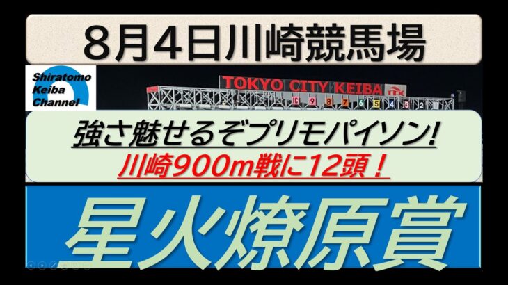 【競馬予想】星火燎原賞～２０２５年８月４日 川崎競馬場 ：８－１１