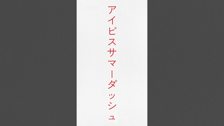 【アイビスＳＤ】レース回顧#競馬 #競馬予想 #アイビスサマーダッシュ