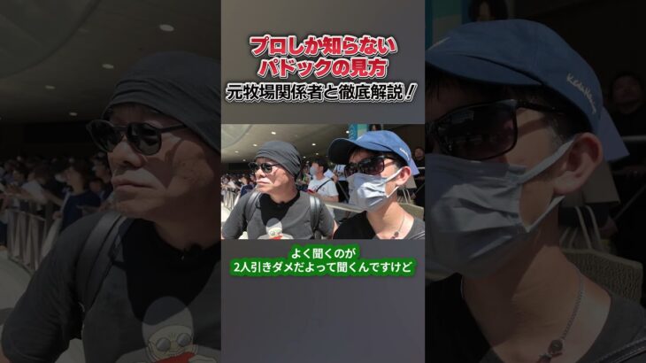 【競馬予想】元牧場関係者から聞いたパドックの見方が衝撃的すぎた！【競馬】