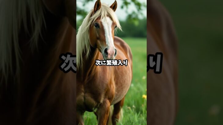 競走馬の“引退”ってどう決まるの？#競馬 #競馬雑学