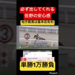 【安心感】必ず出してくれる佐野騎手を買えば地方競馬は勝てます。　#競馬 #競馬予想