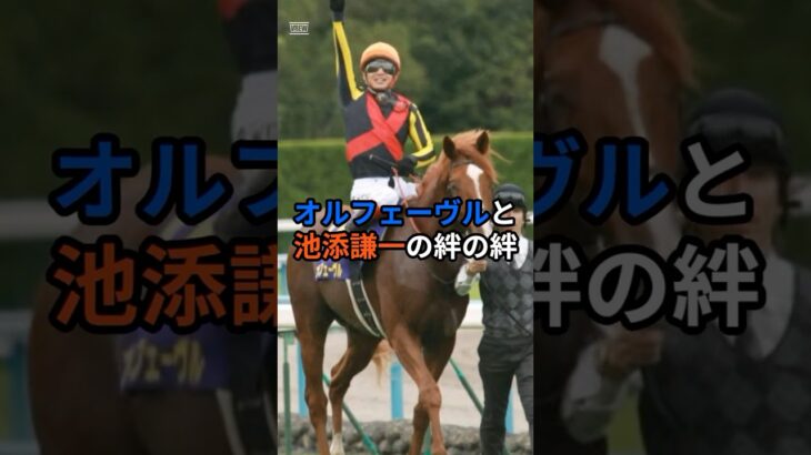 オルフェーヴルと池添謙一の絆#競馬 #競馬予想 #ドラマ #池添謙一 #オルフェーヴル #名馬
