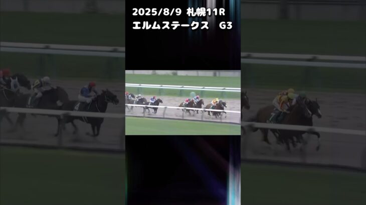 エルムステークス　もちおの当たらない予想　#競馬 #競馬予想 #中央競馬予想 #エルムステークス