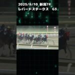 レパードステークス　もちおの当たらない予想　#競馬 #競馬予想 #競馬予想動画 #レパードステークス