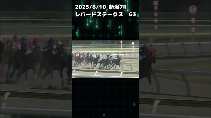 レパードステークス　もちおの当たらない予想　#競馬 #競馬予想 #競馬予想動画 #レパードステークス