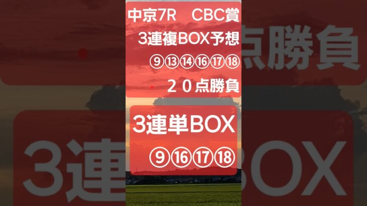 #当たらない競馬予想です。見るだけでお願いします🙇