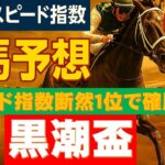 【黒潮盃２０２５】東大式スピード指数による競馬予想