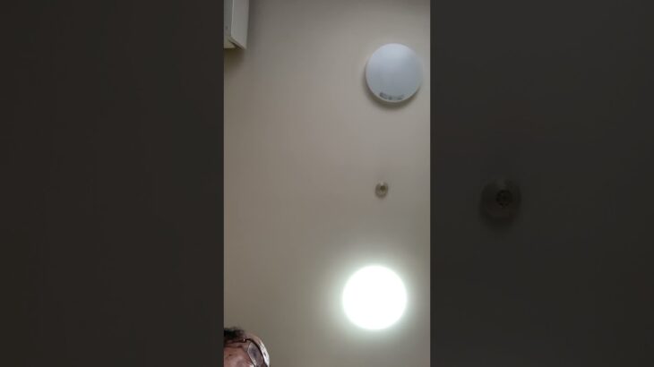 #競馬予想youtube